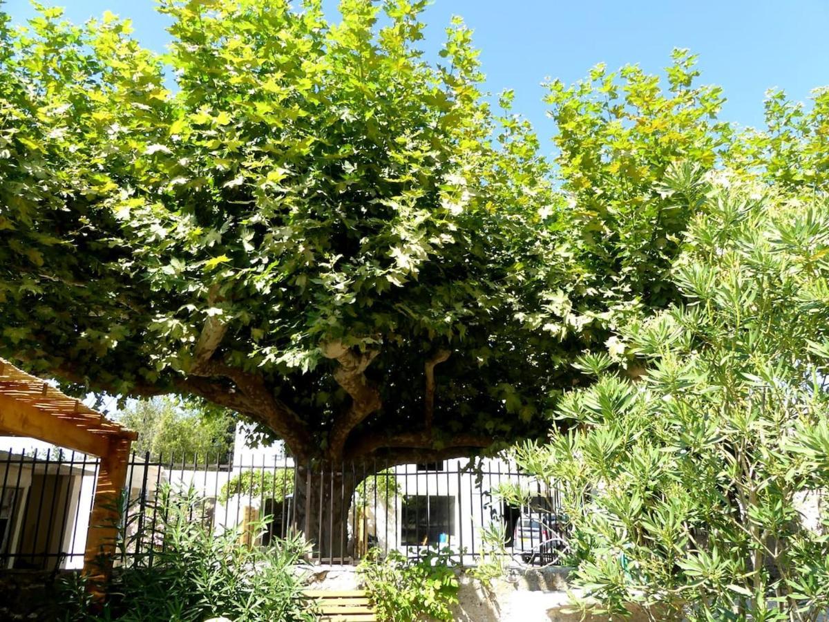 Gites La Ferme De Marguerite Tulette Exteriör bild